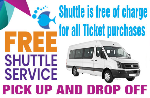 Boat Tour Free Shuttle